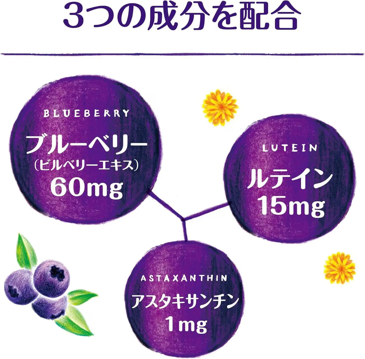 Bausch + Lomb Lutein Bilberry Astaxanthin Supplements 60 Capsules